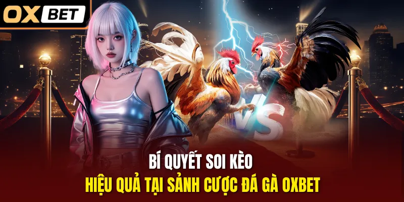 Bí quyết soi kèo hiệu quả tại sảnh cược đá gà OXBET