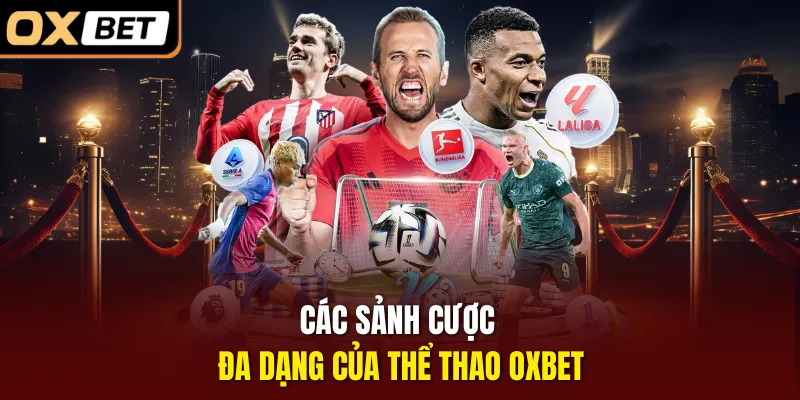 Các sảnh cược đa dạng của thể thao OXBET