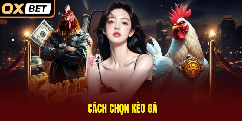 Cách chọn kèo gà