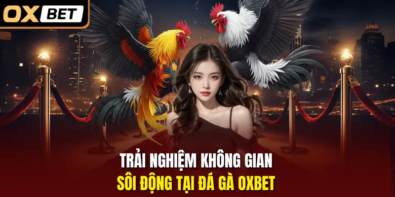 Trải nghiệm không gian sôi động tại Đá gà OXBET